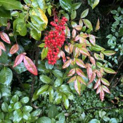 2025年12月4日 #0099　転ばぬ先の杖は百も承知。なのに準備しない理由は？