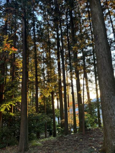 2025年12月22日 #0104　冬至の夜。親の小言と冷たい酒は必ず後で効くとは限らない。