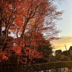 2025年12月8日 #0100　年末年始の浪費を抑える豆知識💡