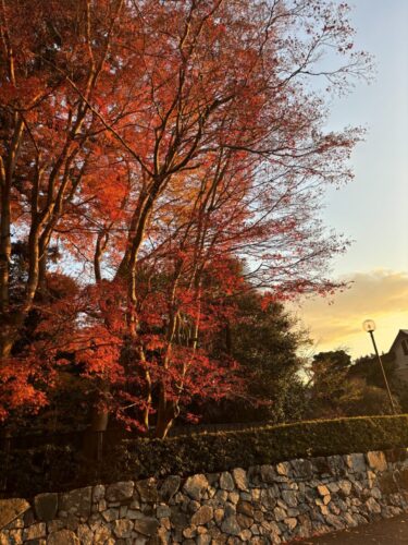 2025年12月8日 #0100　年末年始の浪費を抑える豆知識💡