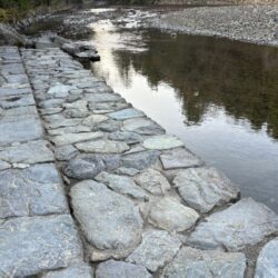 2025年12月18日 #0103　信じる者は貯まらない『来年は○○株上がるので買いです』『運勢的には来年、××なります』