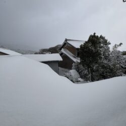 2026年01月13日 #0110　雪からみる価値観